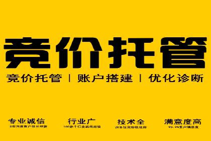 网站SEM托管服务成功案例分享